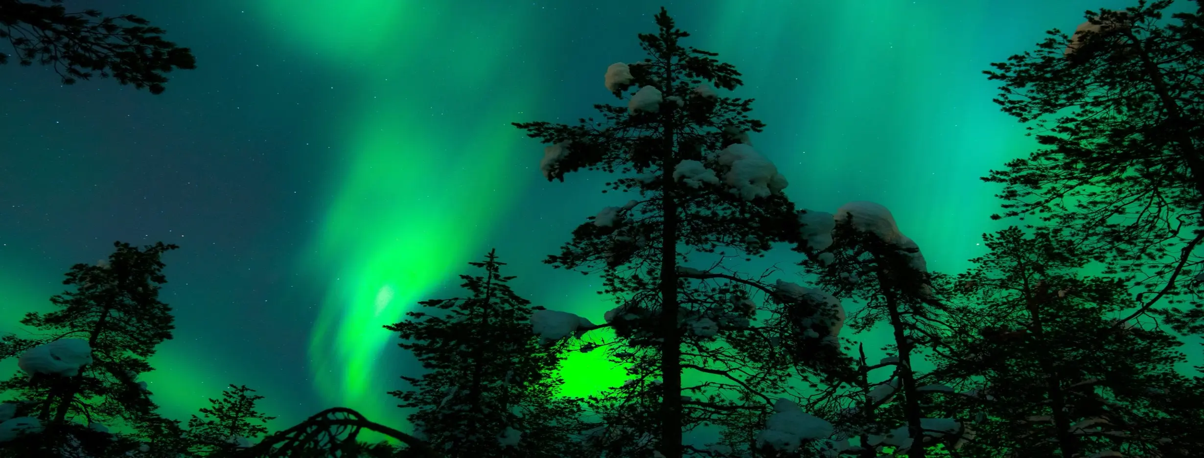 Image for Aurora Hunting